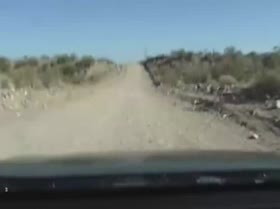 Out in the Wild