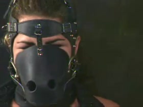 Insex 2004 03 13 Pony Girl Live Feed From August 12 2001 Yx