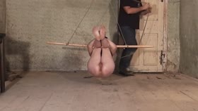 Parrot Perch Electro Torture