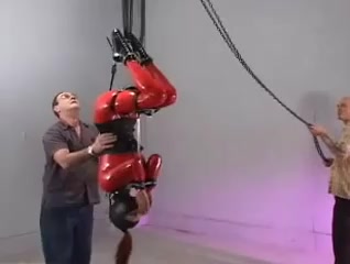 Inverted Suspension with Latex and Cuffs