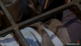 Brunettes Have More Fun: "Sweet Revenge"