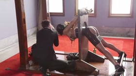The Sex Toy and The Whipping Girl