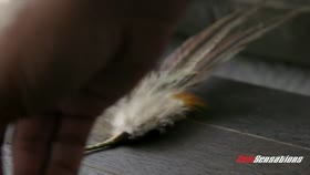 Sensations  Different Ways To Cum On Demand