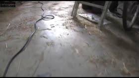 chairtied ballgagged titgrabbed
