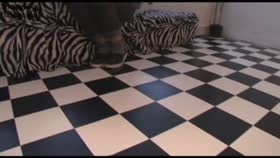 hogtied cleavegagged