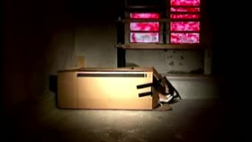 coming out of the box