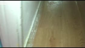 about how you did not clean the toilet