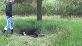 Gay Outdoor Degradation Abuse