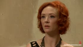 The Politician's Wife
