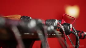 Sensual Flogging 101  with Cleo Dubois