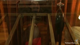 Community Dinner With James Deen