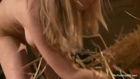 The Training of an Anal Slut, Day Two