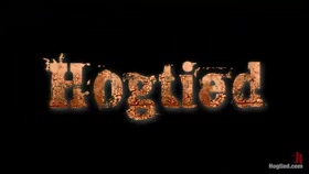 Live! Feisty whore bound, tormented and fucked!