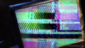 Fresh Meat  Sadie Santana