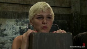 The Stuff Dreams Are Made Of