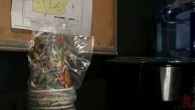 Smack Her Ass: New Hire Ivy LeBelle Submits To Jenna Foxx & Julia Ann