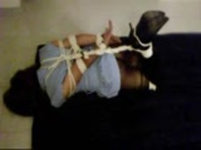Homemade - Hogtied