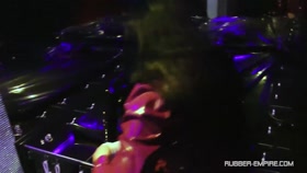 Lady Ashley The Determination