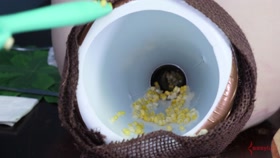 HD

ASSYLUM   Cornholecopia (Jessica Kay)