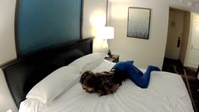 HD

Shiny Bound   Terra Mizu  Struggles