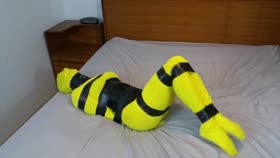 HD

Shiny Bound   Simone   Bumblebee Buzzed