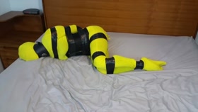 HD

Shiny Bound   Simone   Bumblebee Buzzed