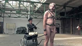HD

TheEnglishMansion   Vintage Pony Carting