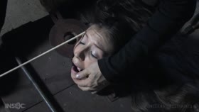 INFERNAL RESTRAINTS - Sister Dee - The Fly