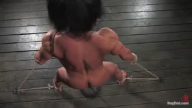 HOGTIED Muscle BDSM