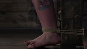 HOGTIED - Paige Pierce