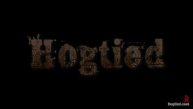 HOGTIED - Beretta James