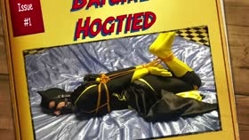 Shiny Bound - Simone - Batgirl Hogtied