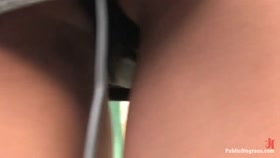 Public Disgrace Yoha