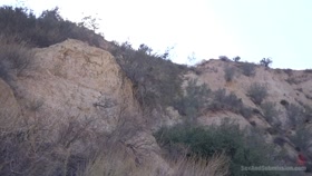 SEX AND SUBMISSION - Ivy