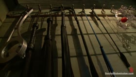 SEX AND SUBMISSION - Role Reversal