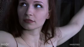 Hardtied - DeClaireation Claire Adams