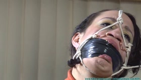 FutileStruggles - A Matter of Family Honor 2