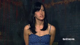 HARDTIED - ﻿Elise Graves Perched