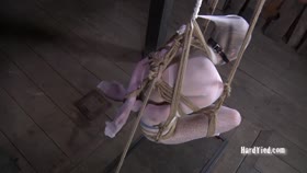 HARDTIED - ﻿﻿Star, Claire Adams Caught in the Web Part Two