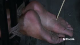 HARDTIED - ﻿Rain DeGrey Barn Whore