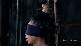 HARDTIED - ﻿﻿﻿Tia Ling Objectified
