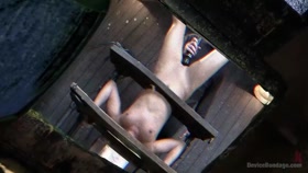 Adriana Chechik  Violated and Abused