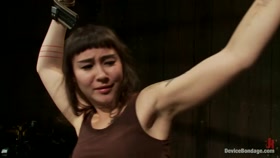 This bitch needs to be fixed