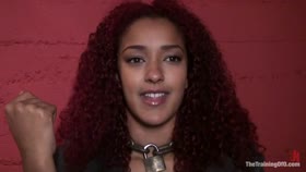 TheTrainingOfO - Daisy Ducati