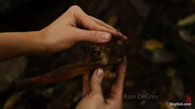 "The Dig": A BDSM Abduction Horror Feature film