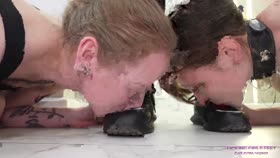 Kate Crawl To Me My Sweat Cleaners