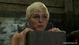 The Stuff Dreams Are Made Of