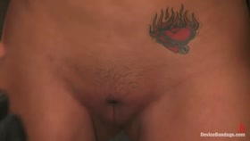 Trina Michaels, Holly Heart and Christina Carter Part 2 of 4 of the August Live Feed