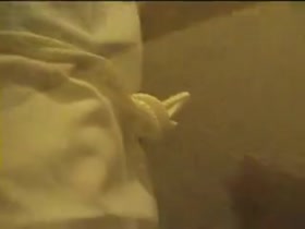 Kinkygate ass whore