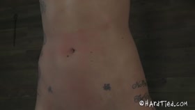 HARDTIED - ﻿﻿﻿﻿﻿﻿﻿﻿﻿﻿﻿﻿﻿﻿Hailey Young Overstimulated